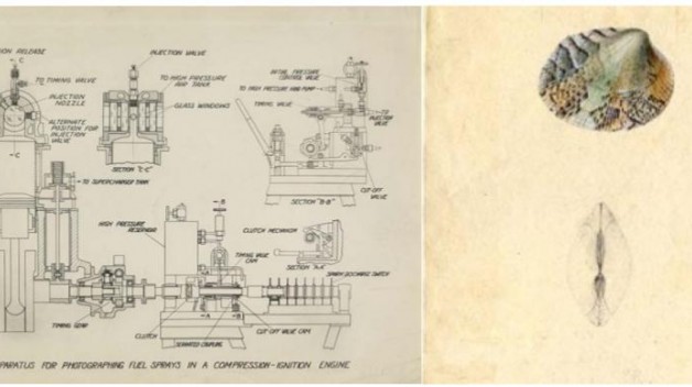 Side by side picture of Apparatus for Photographing Fuel Sprays in a Compression-Ignition Engine and Sketch of Venus Grata