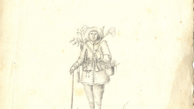 drawing of botanist