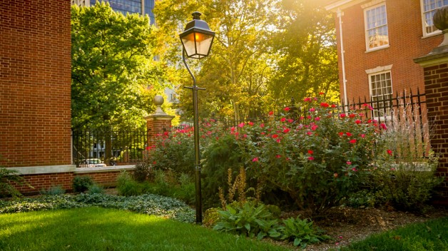 A picture of plants in the Jefferson Garden 
