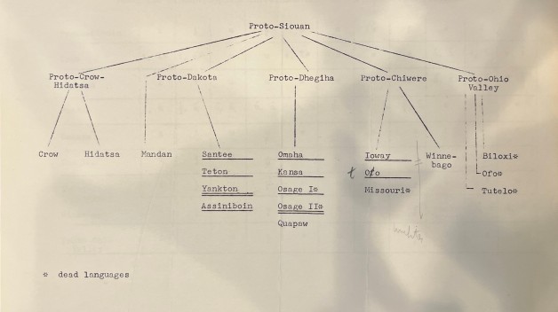 An outdated Siouan language family tree