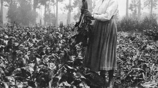 black and white photo of woman standing in beet field
