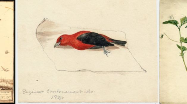 Nat Hist CFP Image
