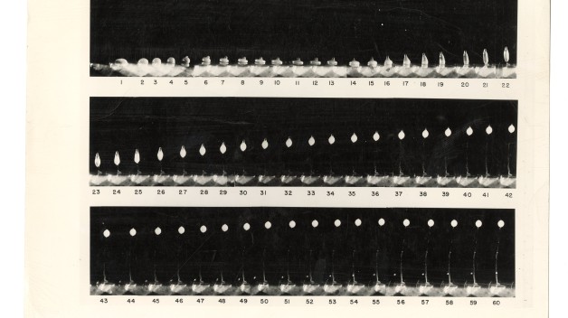 black and white photo of microscope sequence