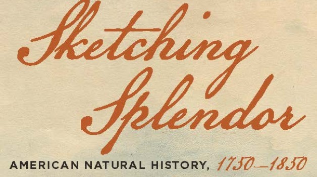 rackcard image of the Sketching Splendor exhibition 