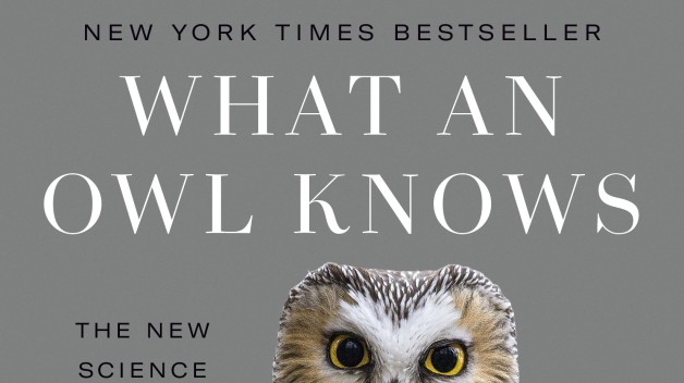 What an Owl Knows (Jennifer Ackerman)