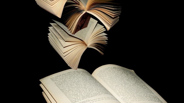 image of books fanned out in flight