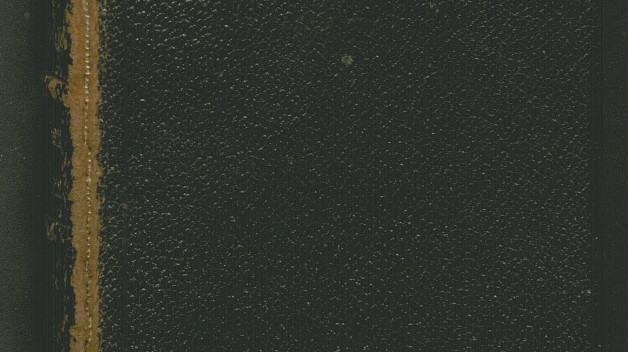 cover of diary