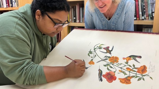 Conservation of Folio Image