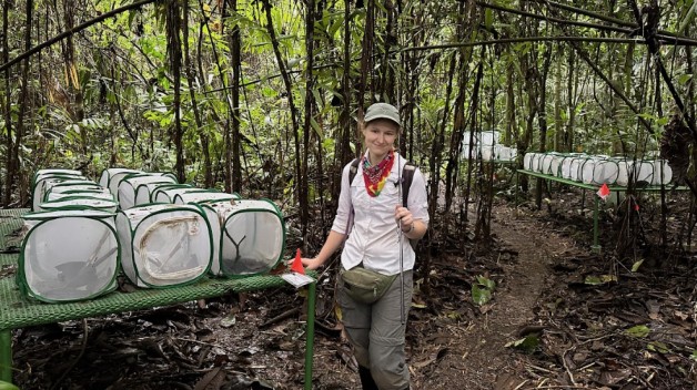 photo of person standing in forest among research 