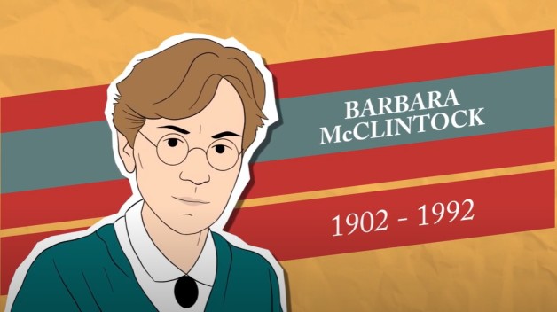 screenshot of barbara mcclintock graphic