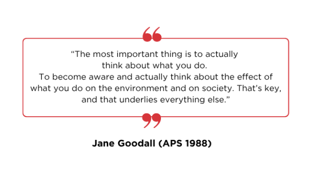 Jane Goodall Quote