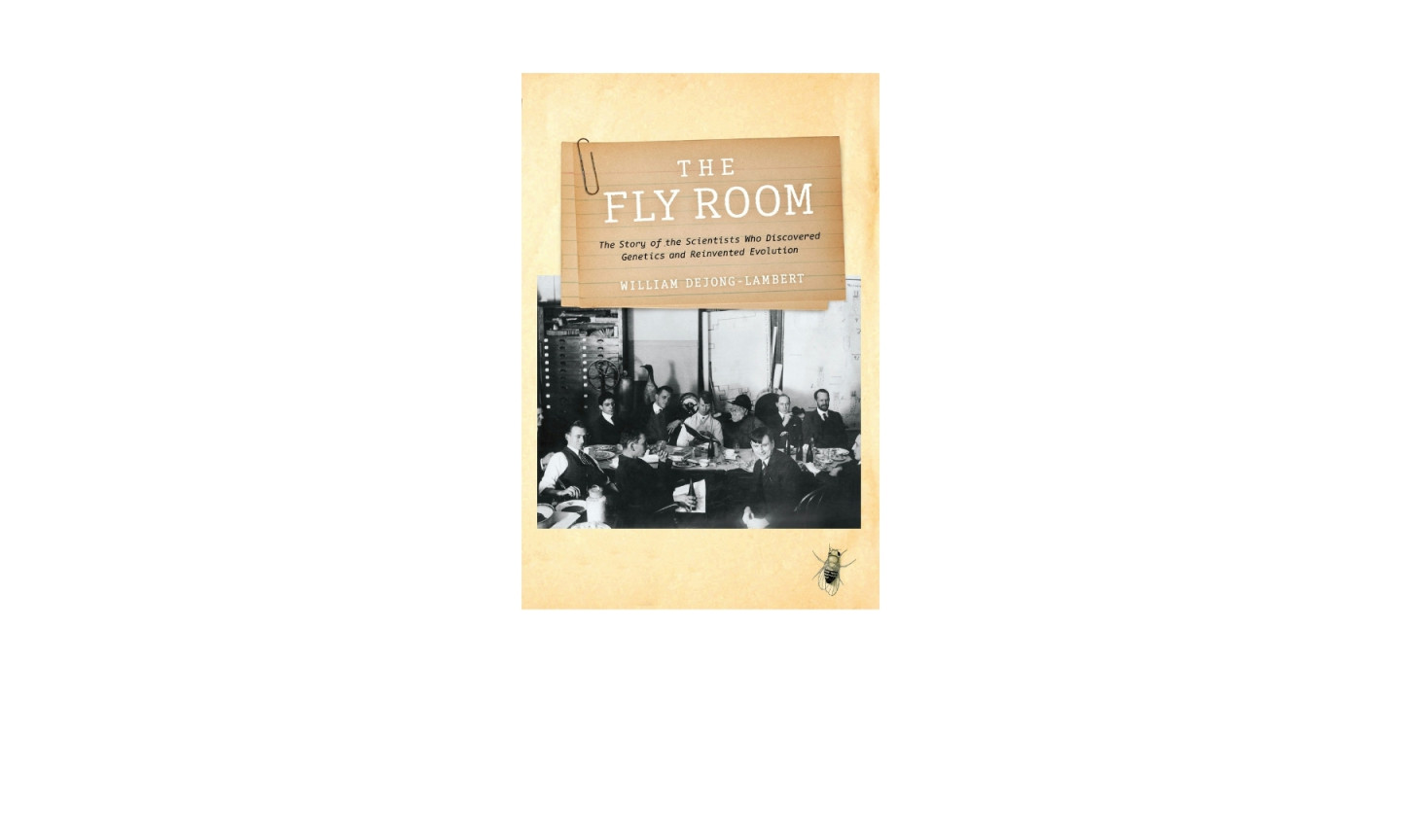 Book cover image of The Fly Room by William deJong-Lambert