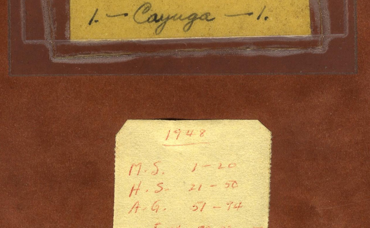 Close-up of notebook