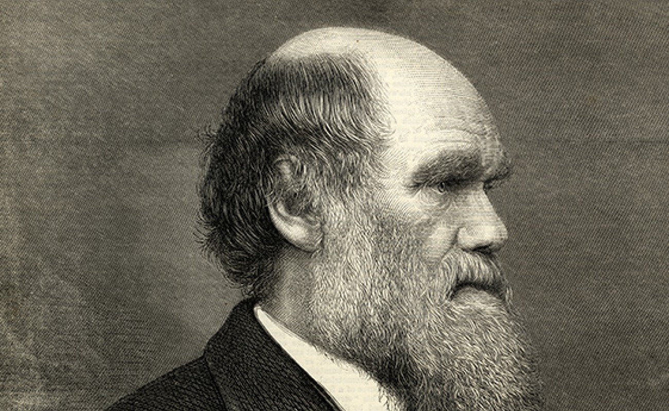 portrait of a man (Charles Darwin)