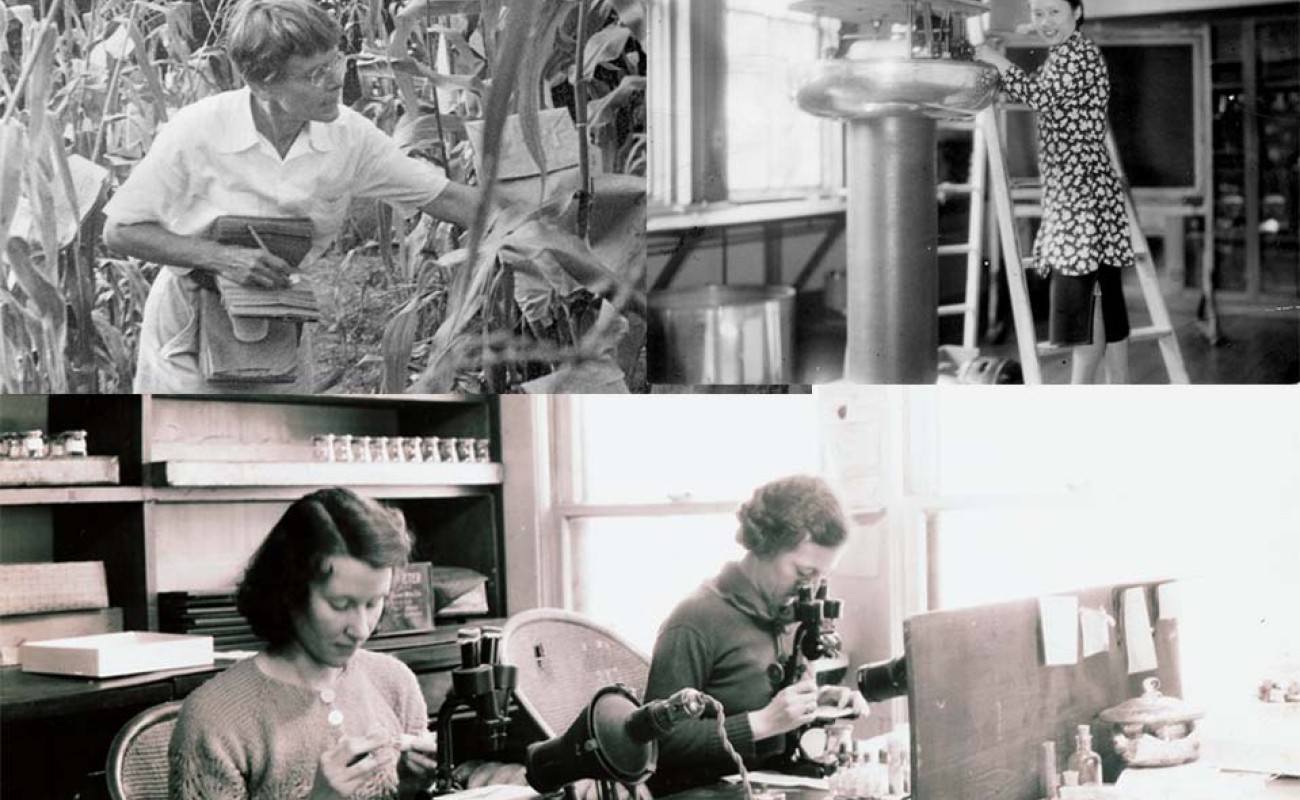 collage of three black and white photos of women working in various scientific endeavors