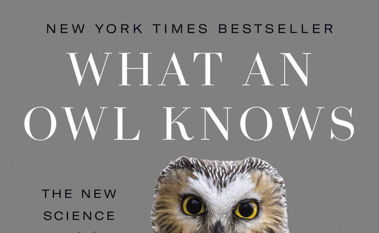 What an Owl Knows (Jennifer Ackerman)