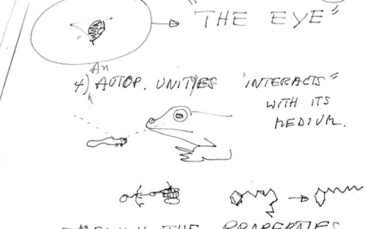 Handwritten notes featuring a sketch of a frog from Letter from Humberto Maturana to Heinz von Foerster, undated. Heinz von Foerster papers, 1921-2005, 2015, 2018. 11/6/26, Box 22. University of Illinois Archives, University of Illinois, Urbana- Champaign.