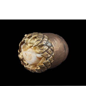 Tooth acorn