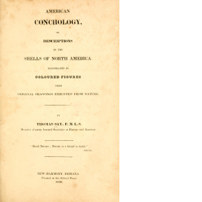 "American Conchology" second title page