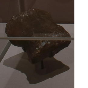 fossil on gray background behind glass