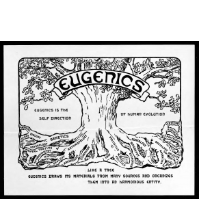 black and white printed broadside showing a tree and text reading: (at top) "Eugenics," (middle) "Eugenics is the self direction of human evolution," (at bottom) "Like a tree Eugenics draws its materials from many sources and organizes them into an harmonious entity."