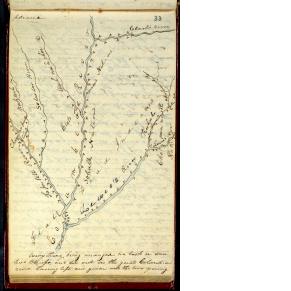 Journal of the Lewis and Clark Expedition