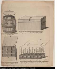 A visualization of seed- and plant-packing methods for voyages across the Atlantic Ocean. .