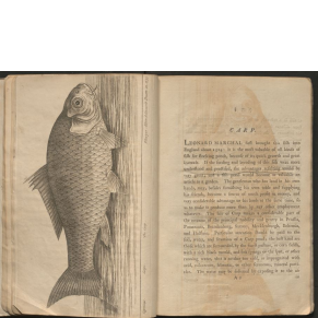 fish book