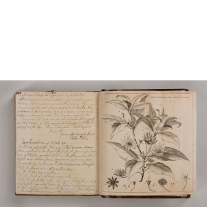 John Ellis letters, 1753-71 
