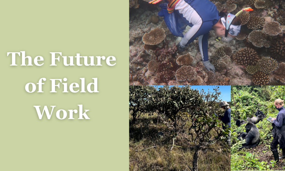 Fieldwork Conference Image