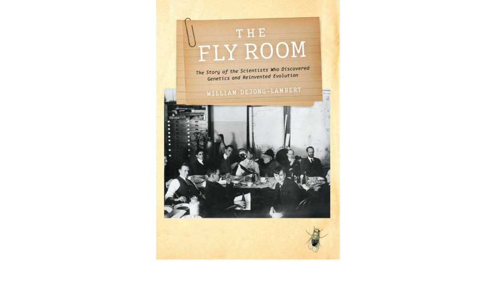 Book cover image of The Fly Room by William deJong-Lambert