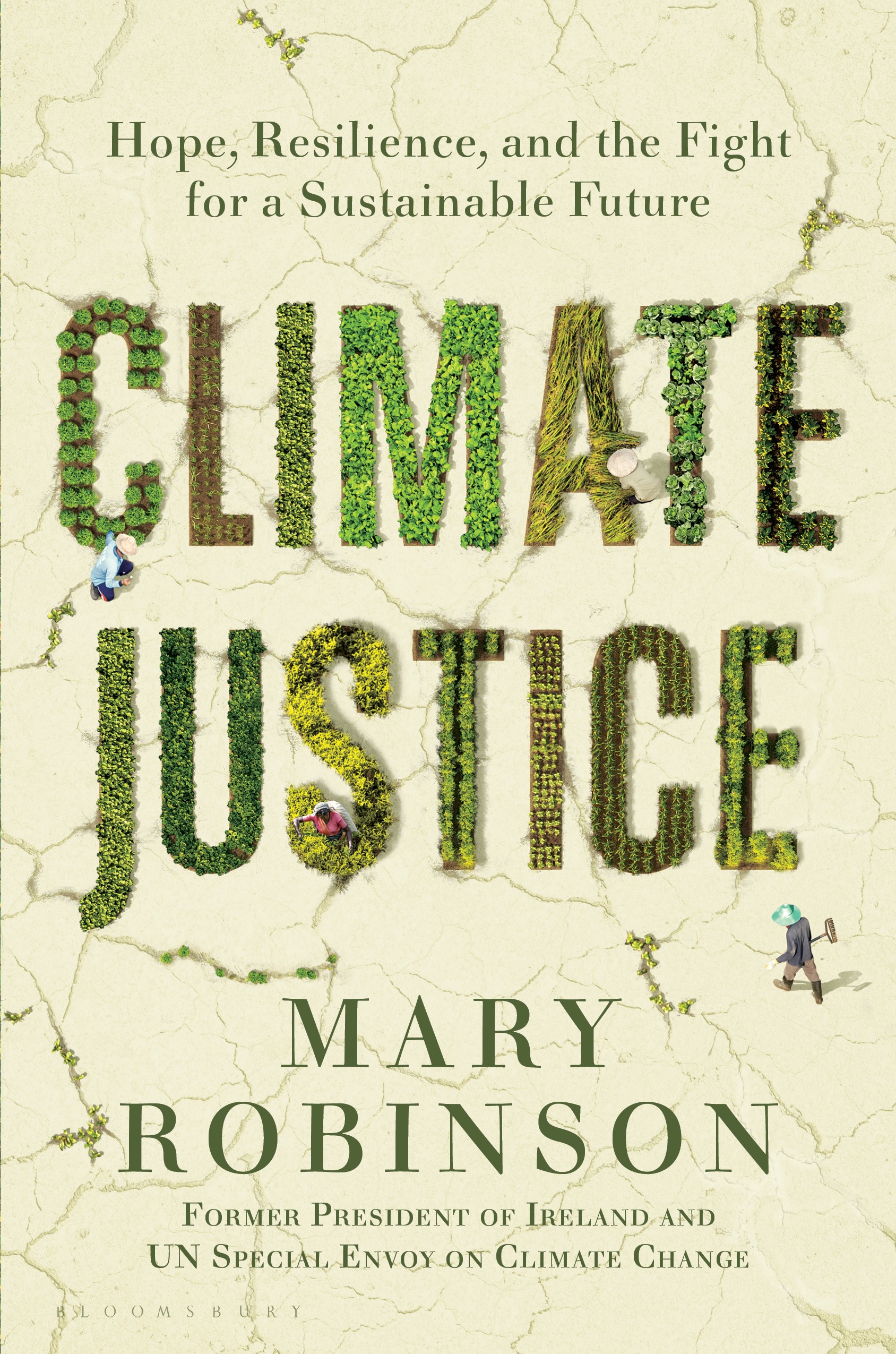 cover of book climate justice