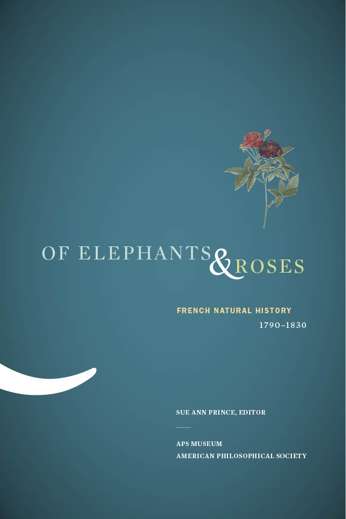 elephants and roses cover