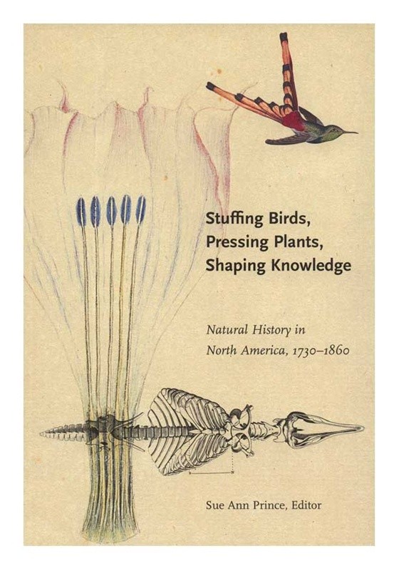 cover of stuffing birds book