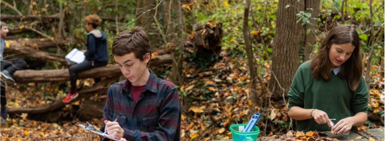 People in the forest collecting scientific data