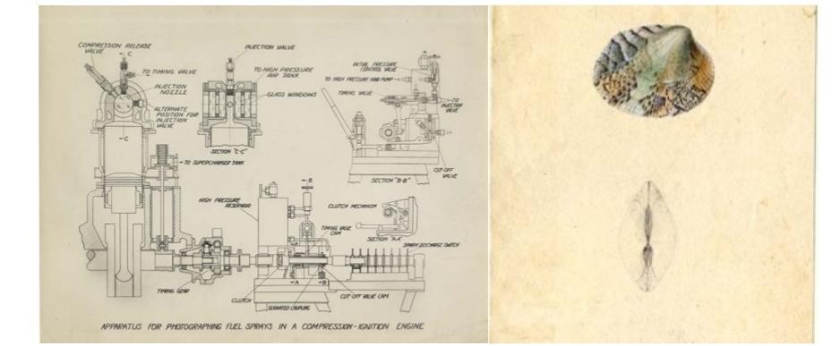 Side by side picture of Apparatus for Photographing Fuel Sprays in a Compression-Ignition Engine and Sketch of Venus Grata