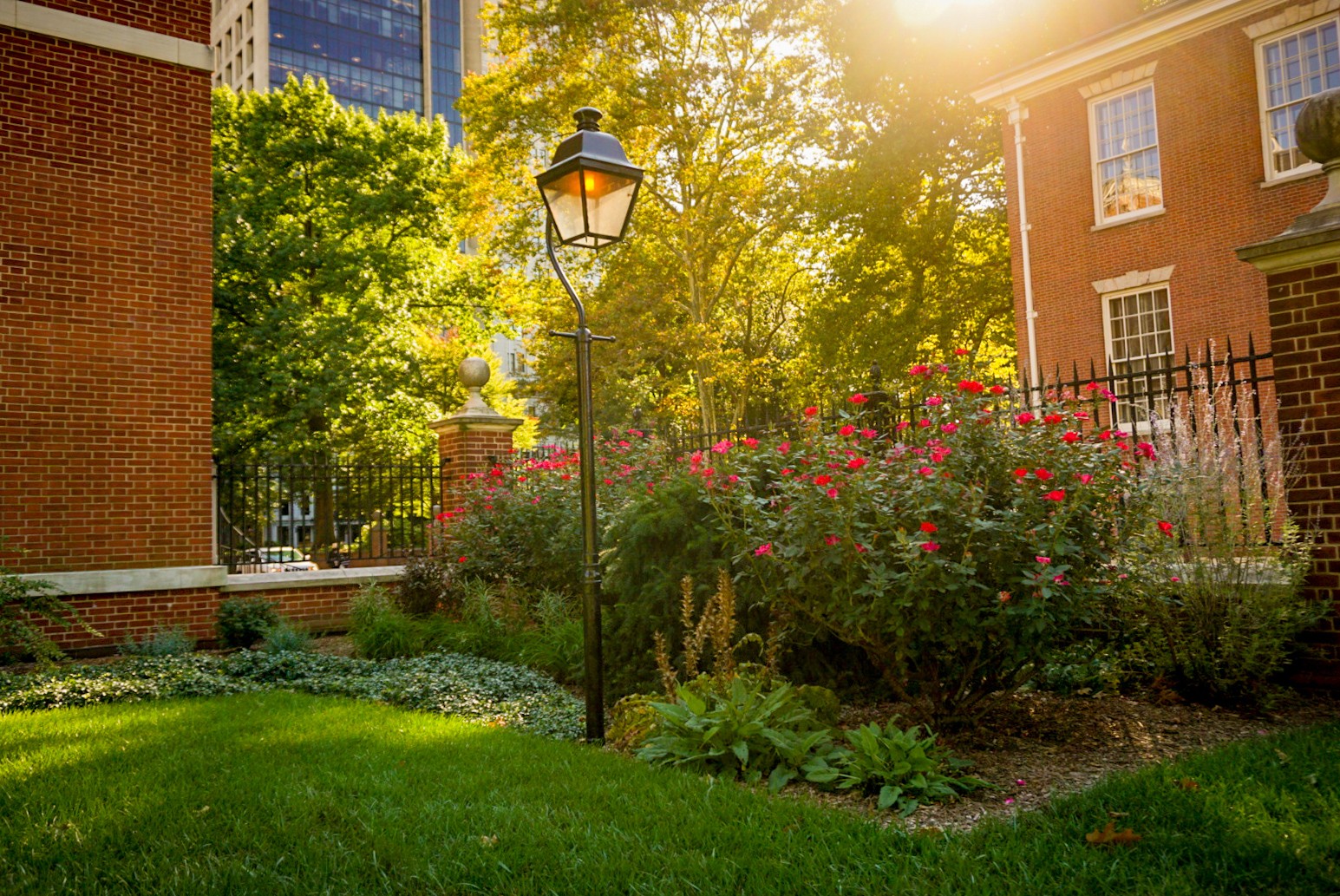 A picture of plants in the Jefferson Garden 