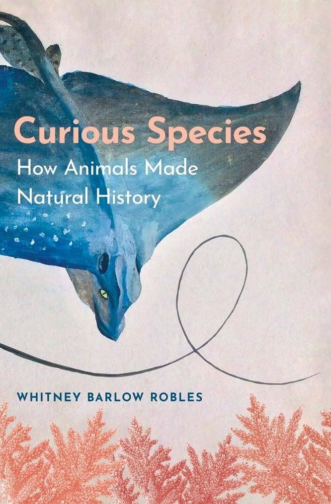 cover of curious species
