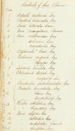 List of Illustrations, Lucy Say's hand.