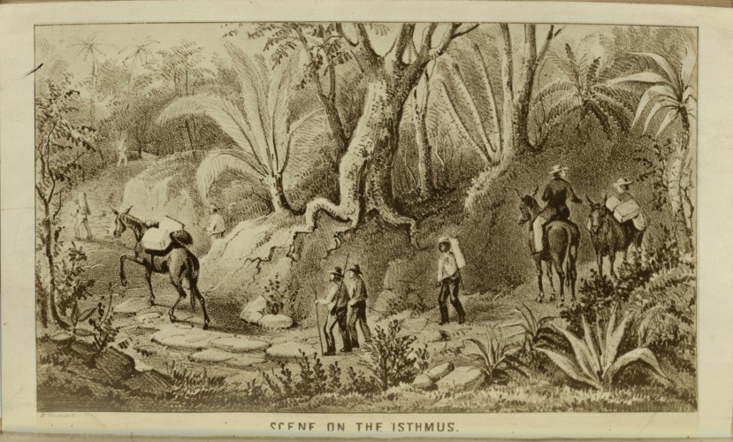 drawing of the scene on the isthmus 