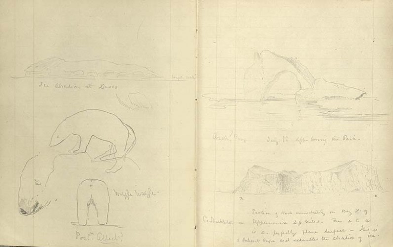 notebook pages with drawings in pencil of icebergs and polar bears with various annotations including "waggle waggle" below the bears