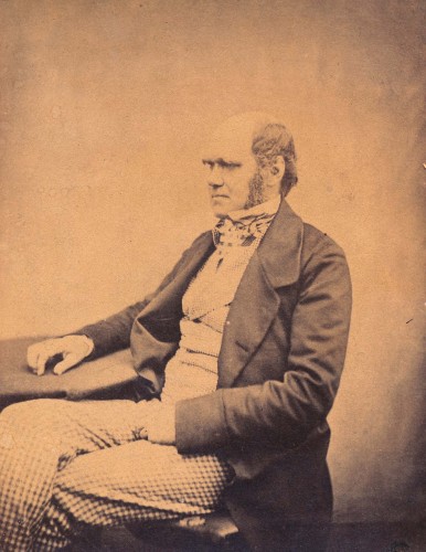 sepia toned photograph of seated man (Charles Darwin)