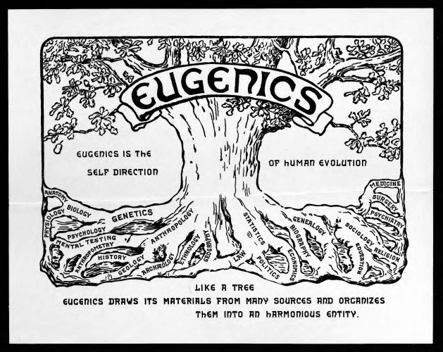 black and white printed broadside showing a tree and text reading: (at top) "Eugenics," (middle) "Eugenics is the self direction of human evolution," (at bottom) "Like a tree Eugenics draws its materials from many sources and organizes them into an harmonious entity."