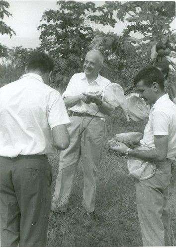 black and white photograph of three men with nets catching flies