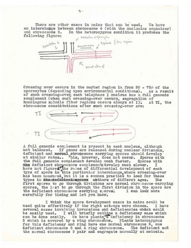 black typewritten text on white paper with annotations in colored pencil