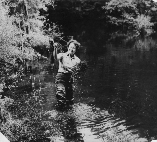 Patrick Collecting Specimens