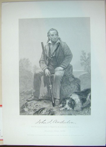 Portrait Print of John James Audubon