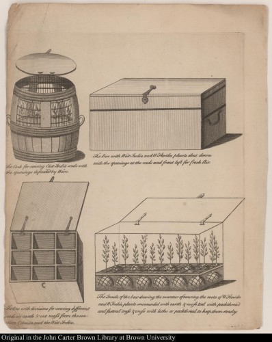 A visualization of seed- and plant-packing methods for voyages across the Atlantic Ocean. .