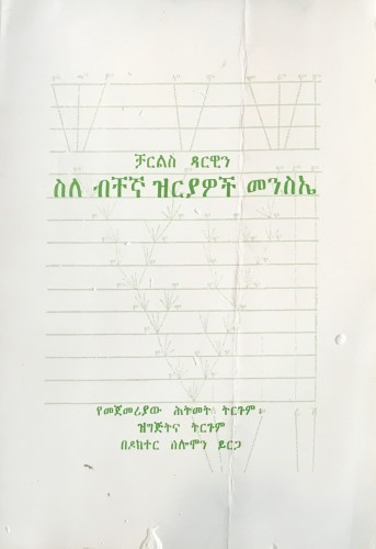 amharic origin