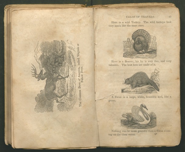 inner page